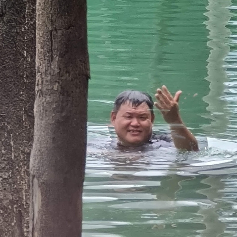 GreenEscapes