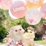 Aaron Terrence William Wells