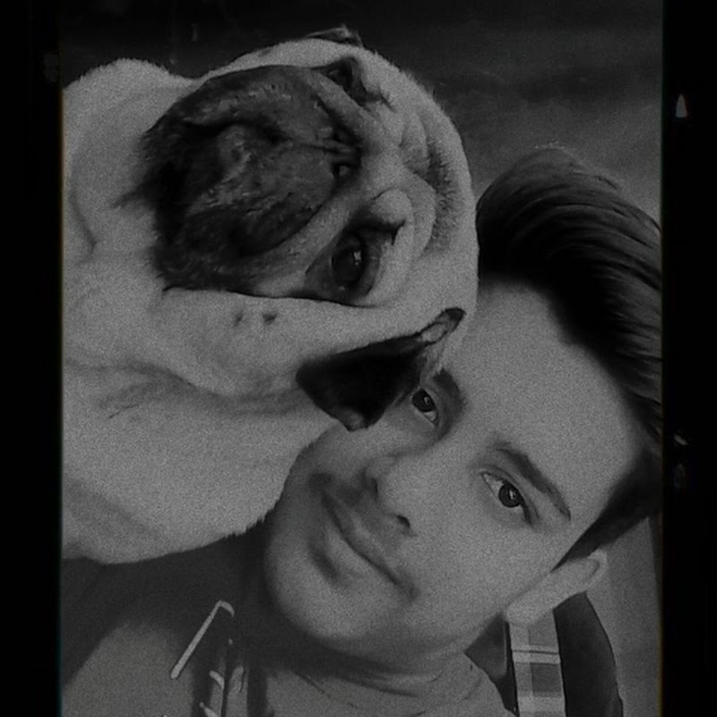 Brody The Pug Life