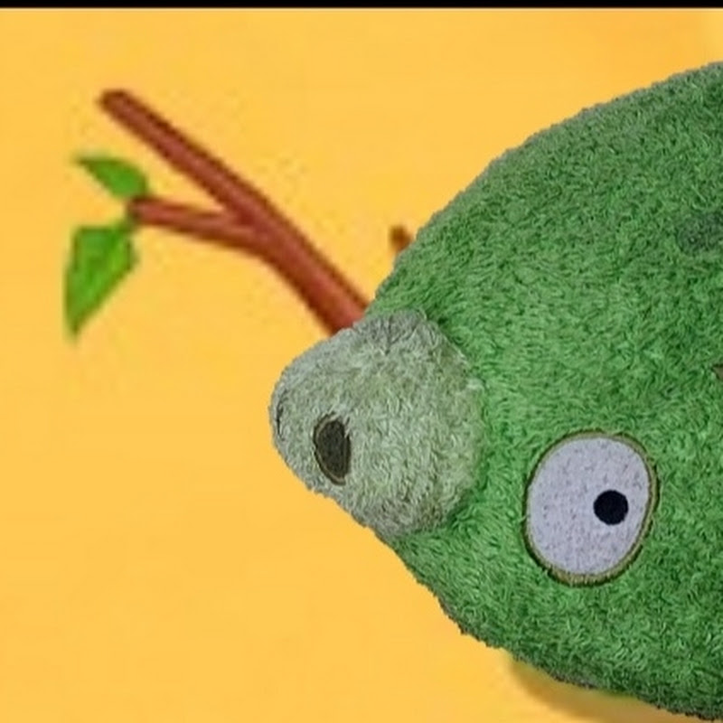 C Gamer 9000 and RedBird