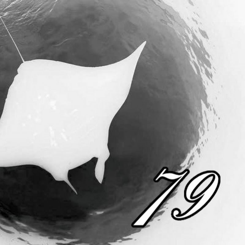 mantaray79