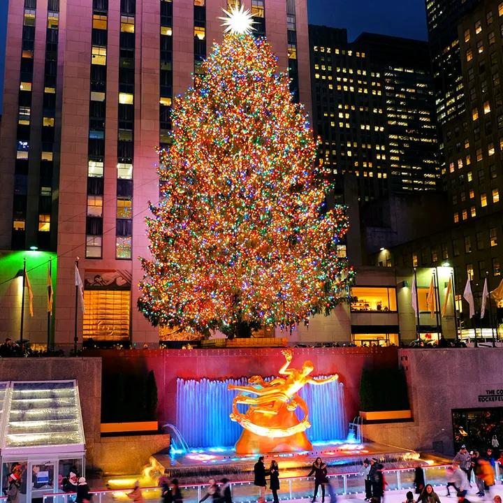 ❄️🎄NAVIDAD FOREVER🎄❄️