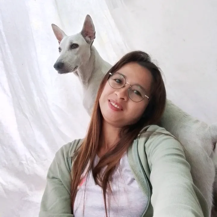 dasyapetshop