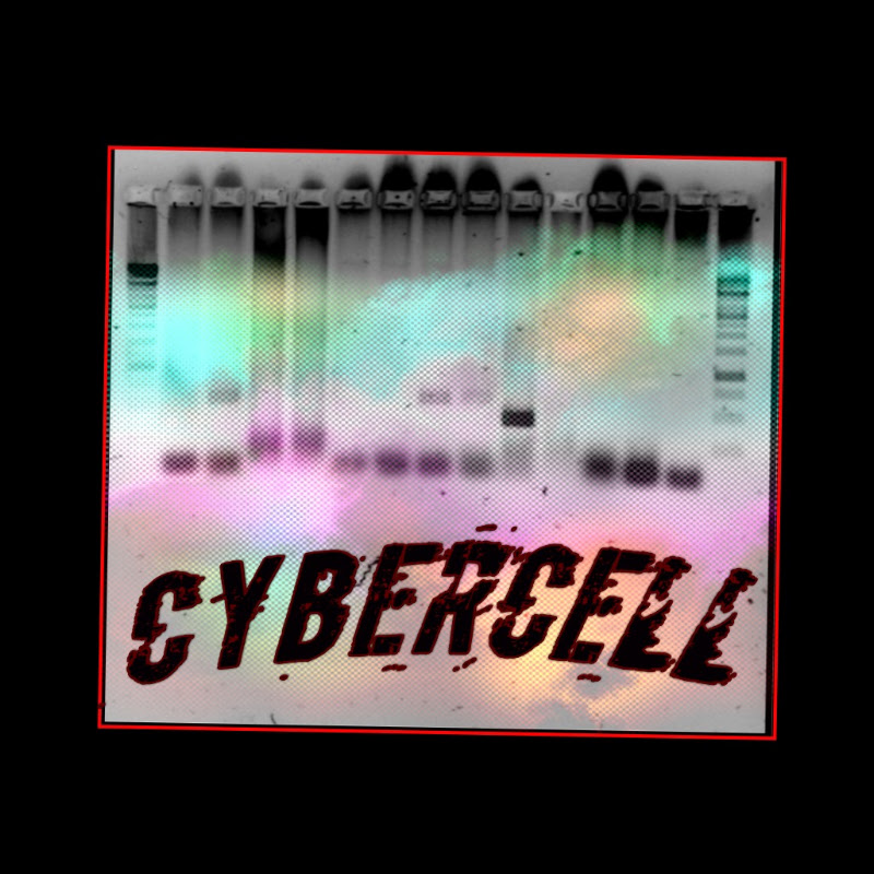 Cybercell