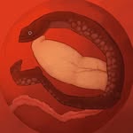 Alejandro Martínez Fluxá