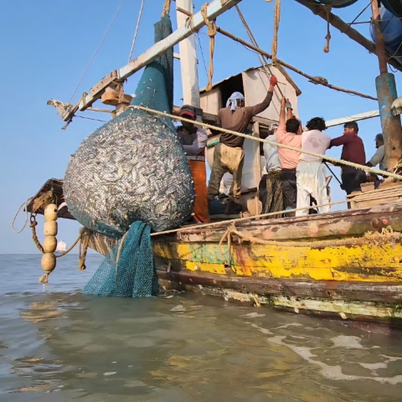 Brave Fisherman
