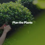 Plan the Plants