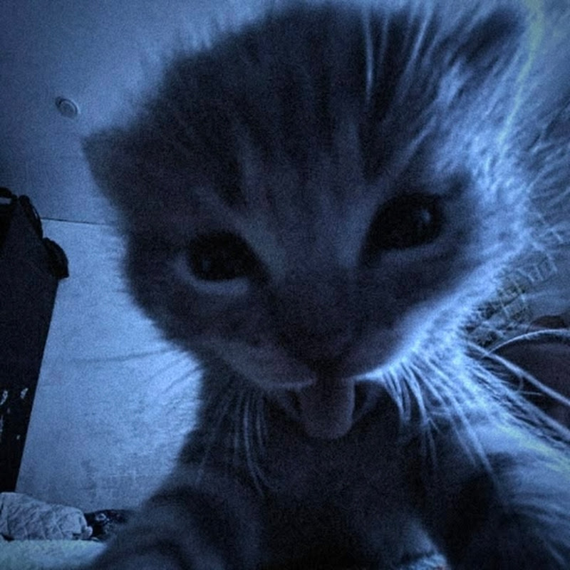 웃ッkakaolusüttt🫶Ꮺ