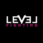LEVEL FIGHTING | Online Coaching 🥊