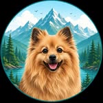 Honey the mittelspitz | dog adventures & enrichment