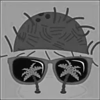 Coconews