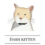 Dash Kitten - New Zealand