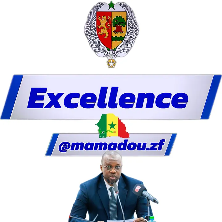 EXCELLENCE ✊🏾⚖️🇸🇳