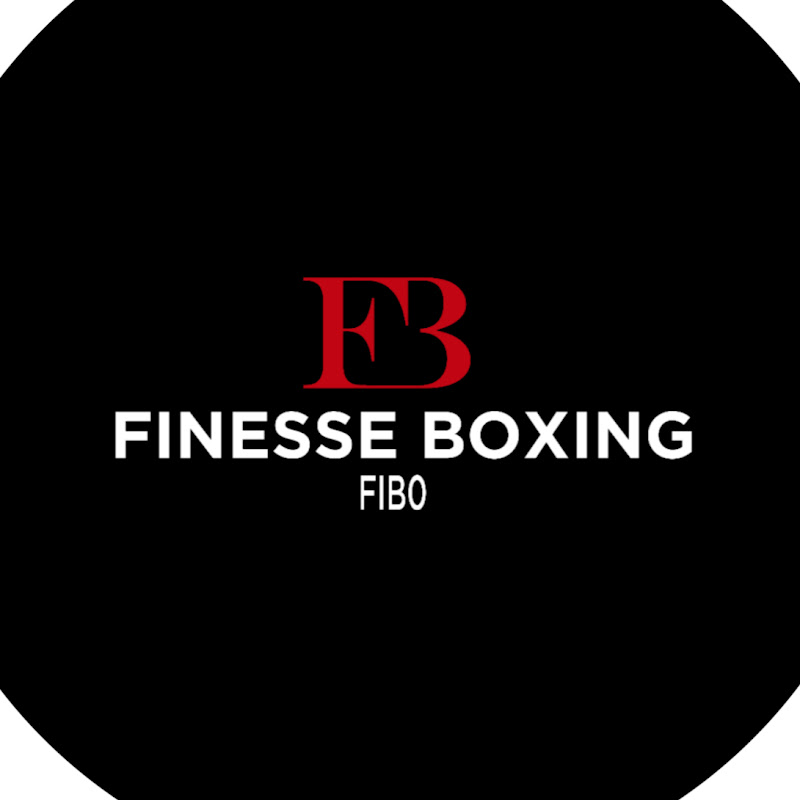 Finesse Boxing
