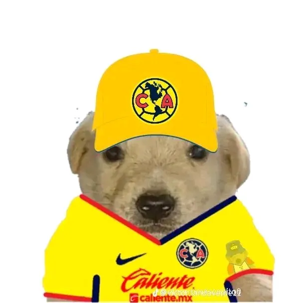 junior de la torre