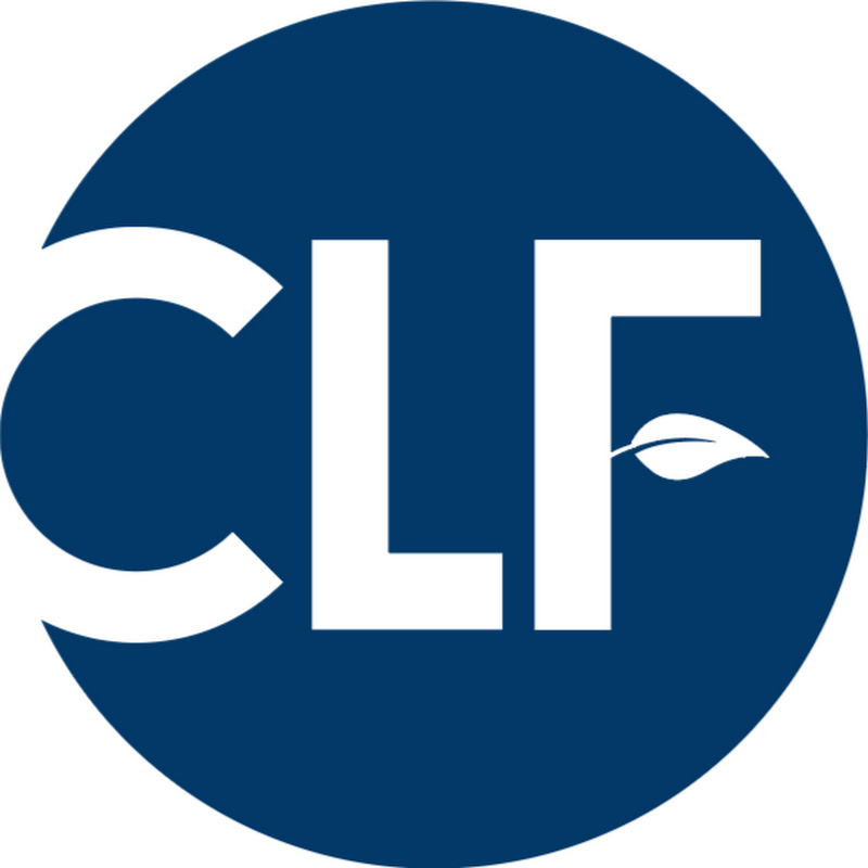 CLF KOREA