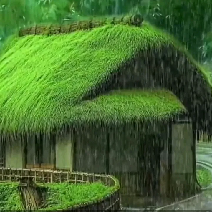 Rain and Snow Sounds