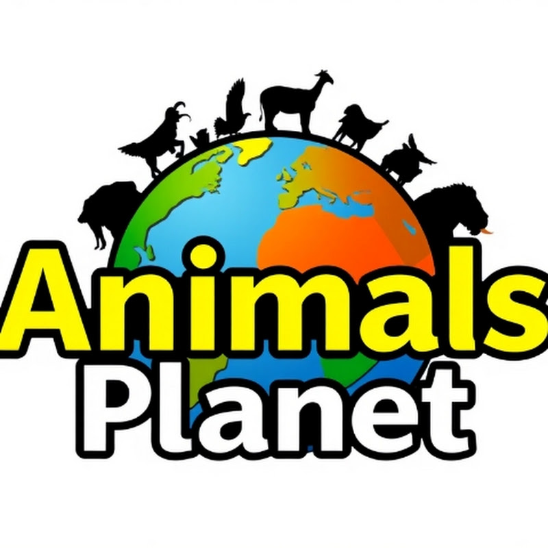 Animals planet