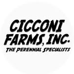 Cicconi Farms, Inc.