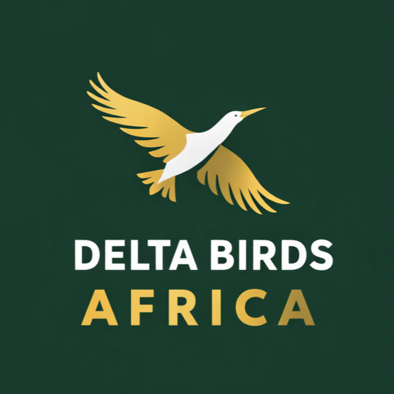 DELTA BIRDS AFRICA
