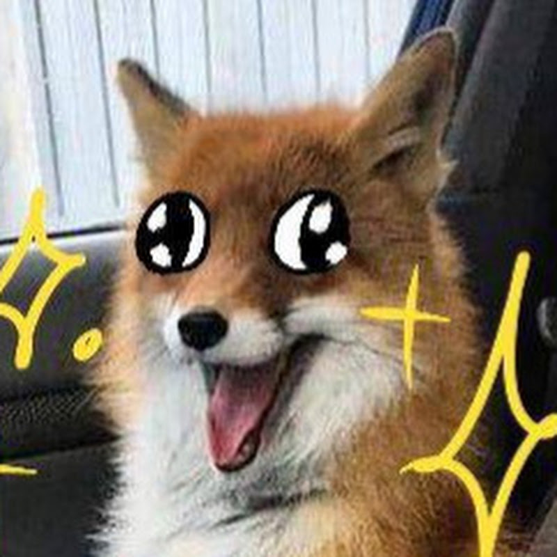 Howlleon