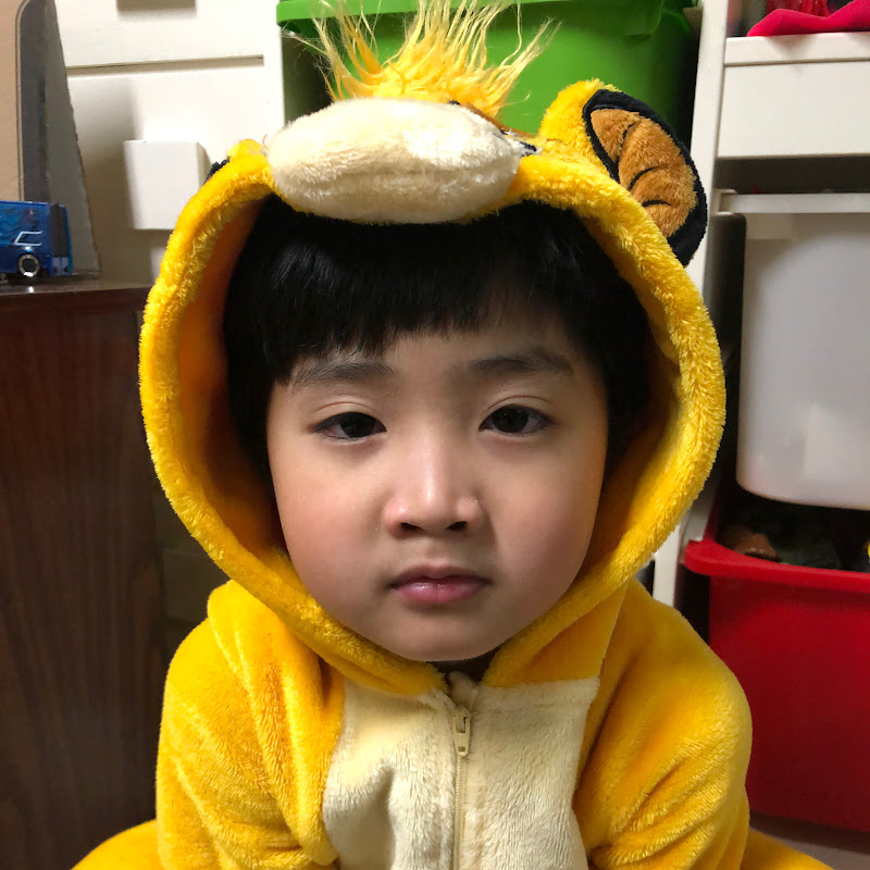 Harold's Curious Mind