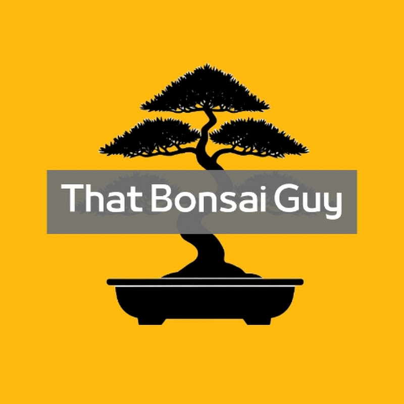 That Bonsai Guy