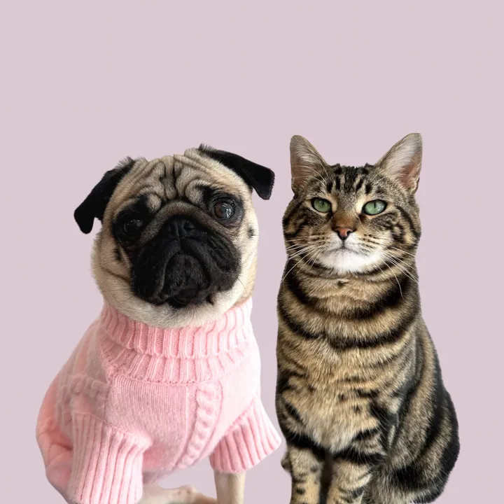 Pickles & Pancake