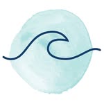 Sea Salt Co.