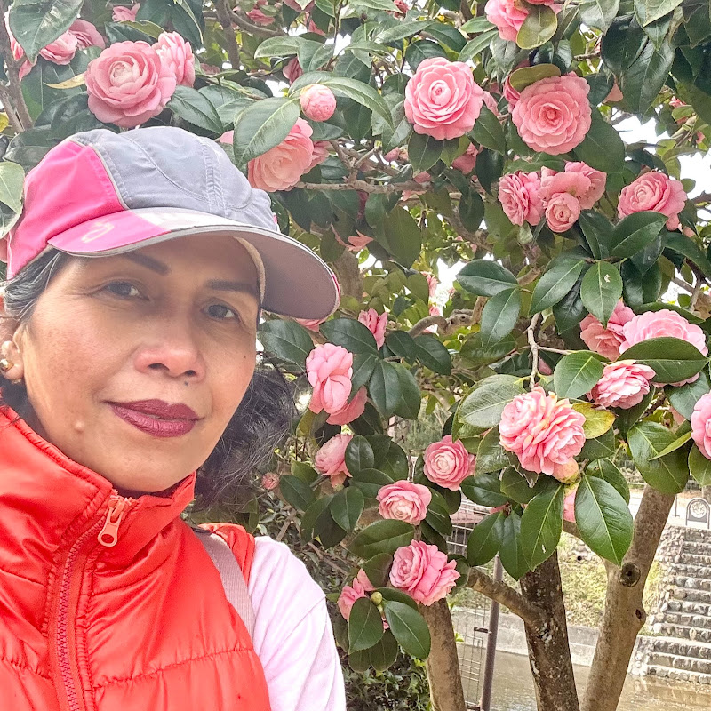 Mommy Wheng in Japan