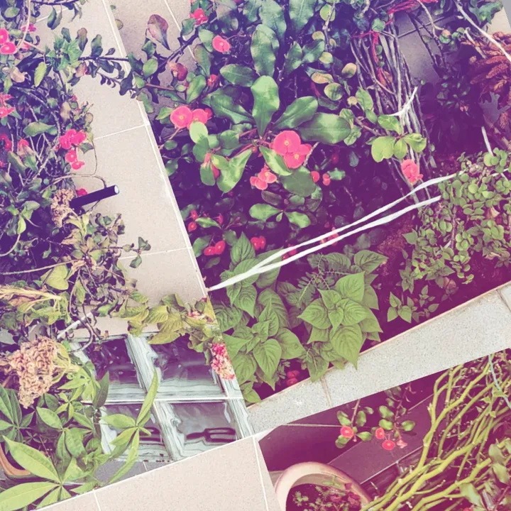 அரியலூர் 😘😘😘