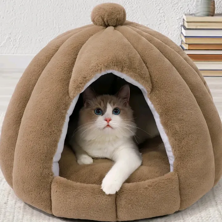 Comfy pets haven