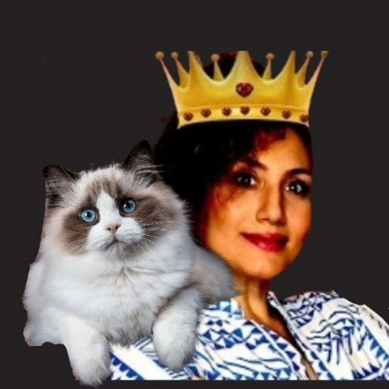 درمان گربه های خانگی 