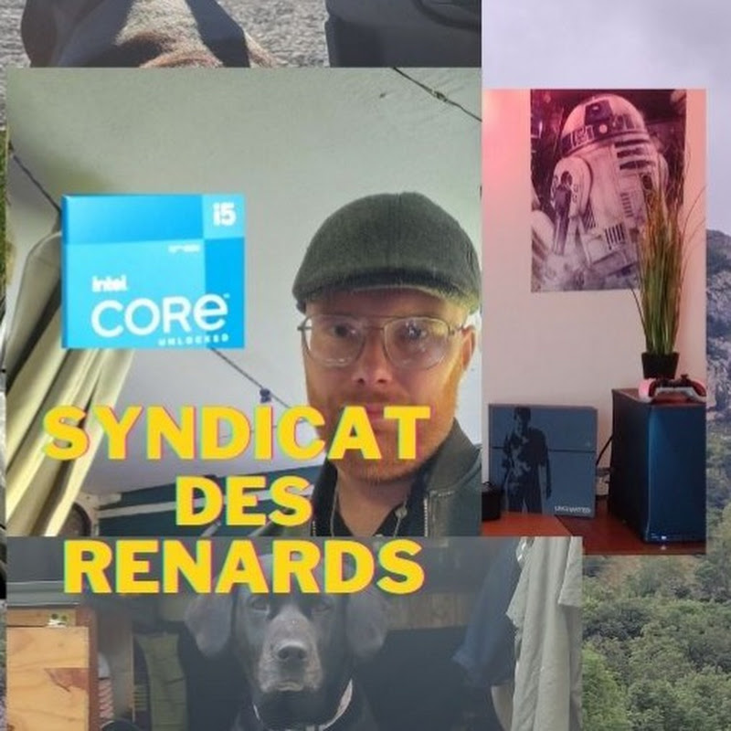 Le Syndicat des Renards