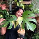 Aditi Rai Dastidar