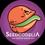 Seedcodelia GrowShop