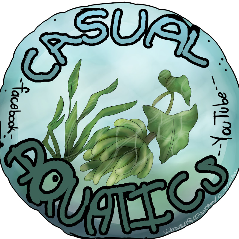 Casual Aquatics