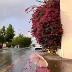 𓆩 Romaissa |أثر الإيمان𓆪