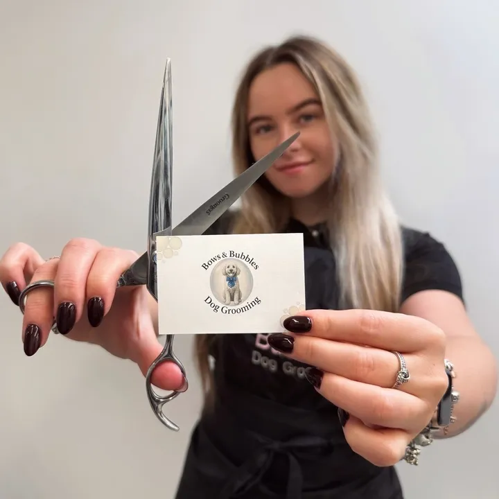 Bows & Bubbles 🎀🫧