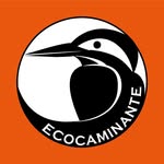 Escalada en roca, trekking y montaña en el Cajón del Maipo
