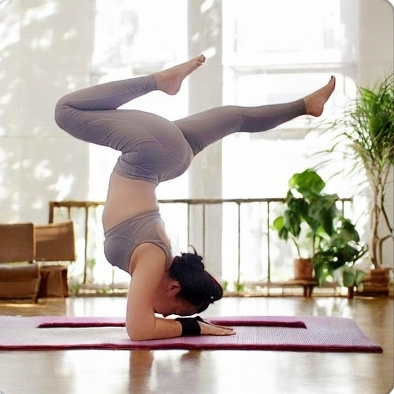 MOHRA YOGA & LIFESTYLE