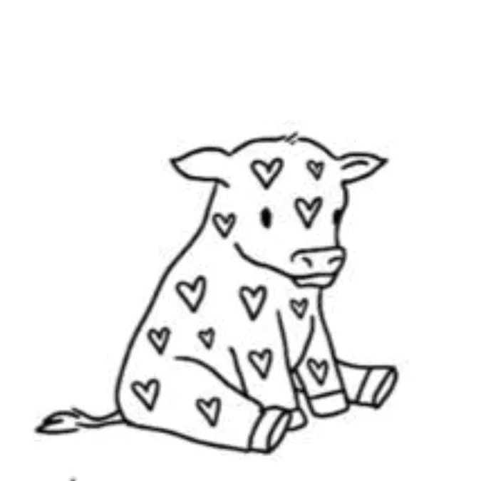 ✨aesthetic vibes®✨