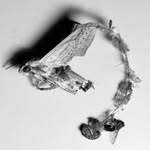 Chen Yung Hua 陳詠華