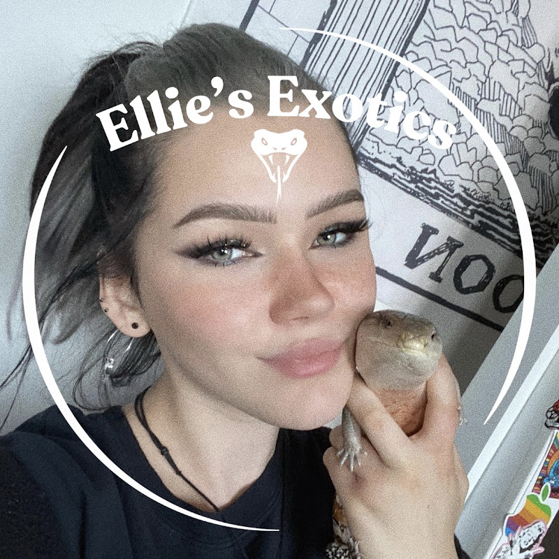 Ellie's Exotics 