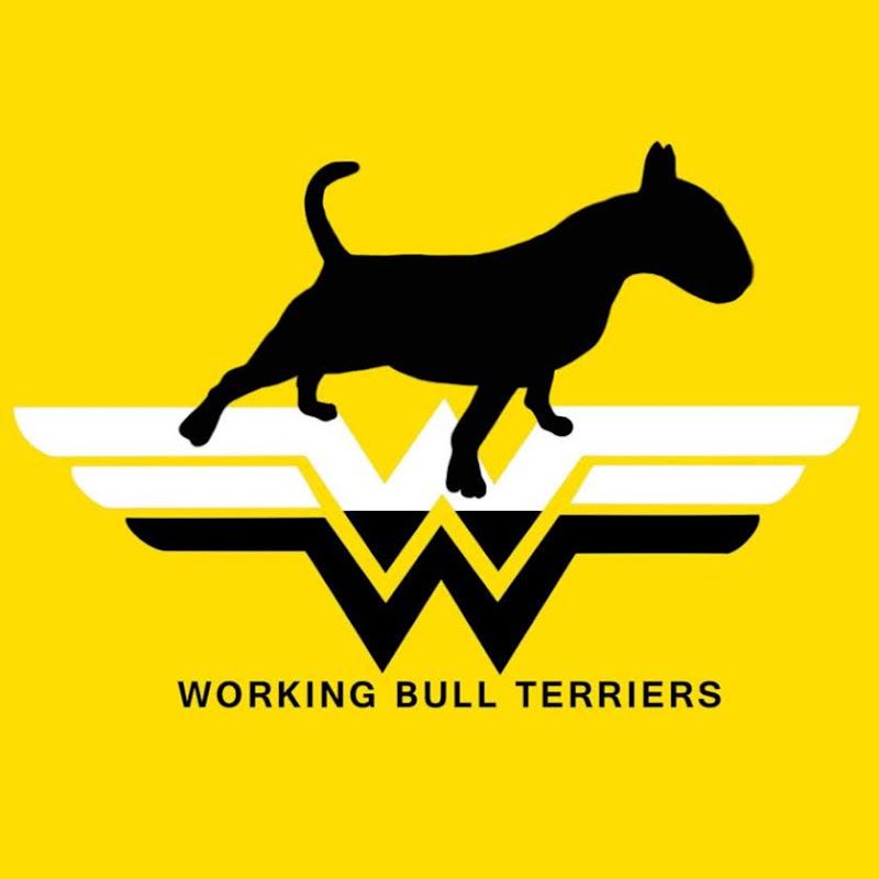 Working Bull Terriers Kennel