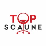 TopScaune