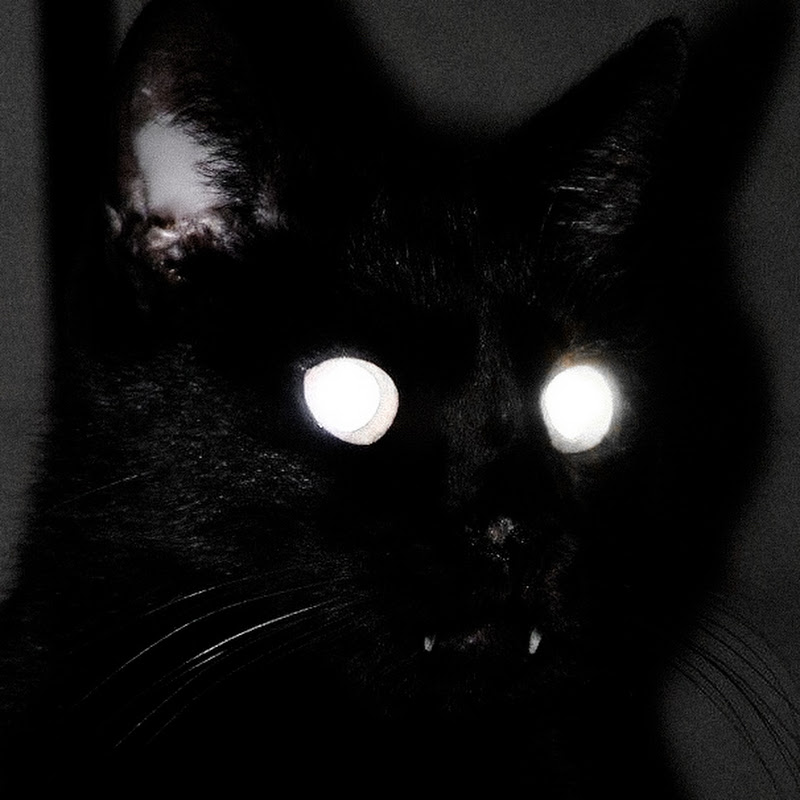 NOCTURNUM.