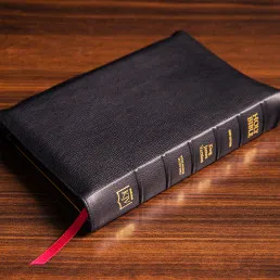 Bible Trends