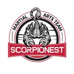 ꜱᴄᴏʀᴘɪᴏɴᴇꜱᴛ ᴍᴀʀᴛɪᴀʟᴀʀᴛꜱ 🦂