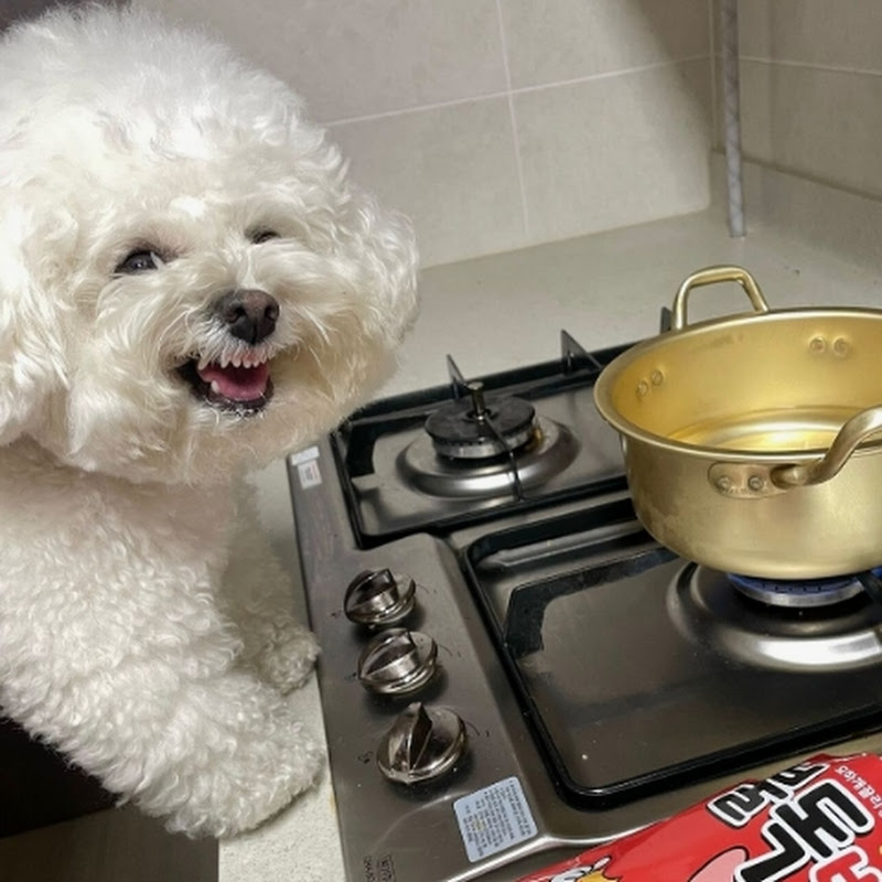 VADAS